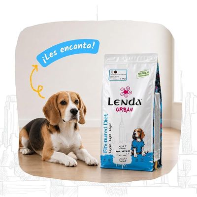 Lenda Urban Flavoured Diet Light