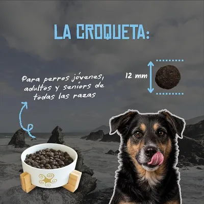 Lenda Nature Grain Free Atún