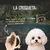 Lenda Mini Hypoallergenic Skin & Coat Grain Free Salmón Lenda Mini Hypoallergenic Skin & Coat Grain Free Salmón