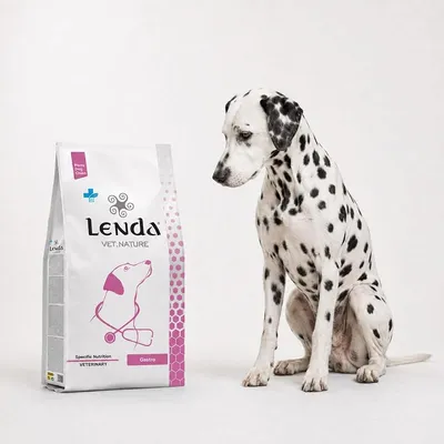 Lenda VET Dog Gastro & Atopic