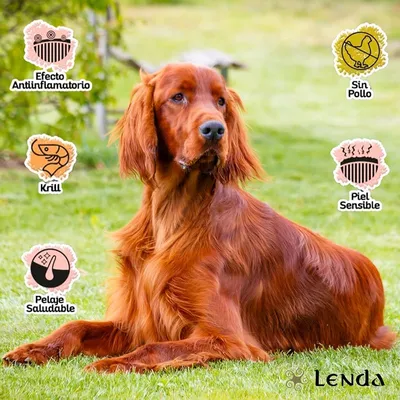 Lenda Nature Sensitive Grain Free Pescado Blanco