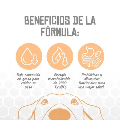 Lenda VET Dog Slimming & Sterilized Lenda VET Dog Slimming & Sterilized