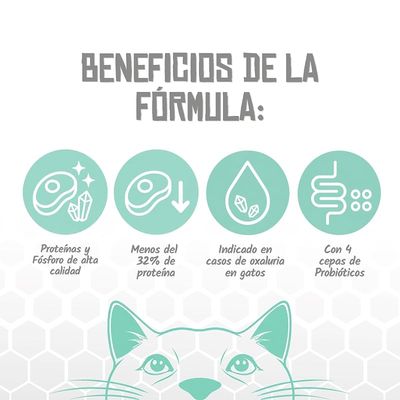 Lenda VET Cat Renal