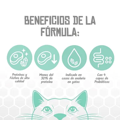 Lenda VET Cat Renal Lenda VET Cat Renal