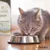 Lenda Senior Cat Grain Free Urinary & Sterilized Lenda Senior Cat Grain Free Urinary & Sterilized
