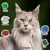 Lenda Senior Cat Grain Free Urinary & Sterilized Lenda Senior Cat Grain Free Urinary & Sterilized