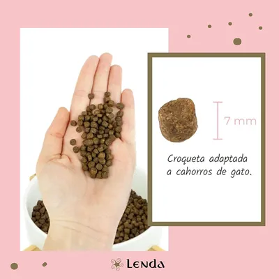 Lenda Kitten Grain Free Aves y Pescado