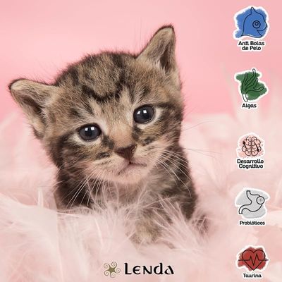 Lenda Kitten Grain Free Aves y Pescado