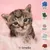 Lenda Kitten Grain Free Aves y Pescado