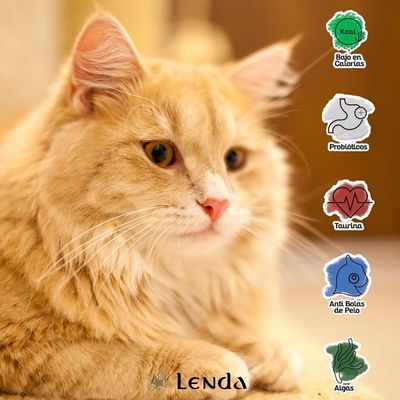 Lenda Adult Cat Grain Free Farm Aves