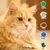 Lenda Adult Cat Grain Free Farm Aves Lenda Adult Cat Grain Free Farm Aves