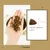 Lenda Adult Cat Grain Free Farm Aves Lenda Adult Cat Grain Free Farm Aves