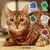 Lenda Adult Cat Grain Free Sensitive & Sterilized Lenda Adult Cat Grain Free Sensitive & Sterilized