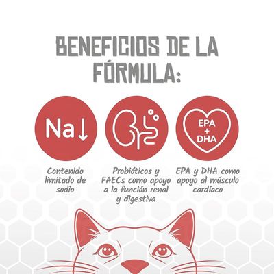 Lenda VET Cat Cardiac