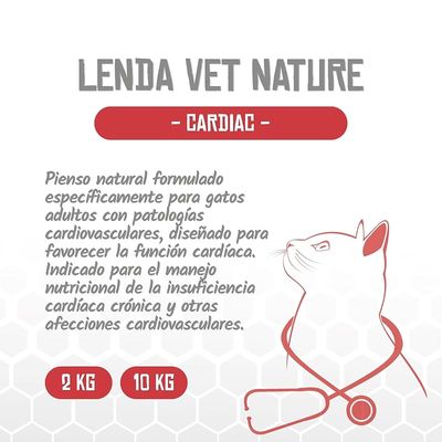Lenda VET Cat Cardiac
