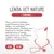 Lenda VET Cat Cardiac Lenda VET Cat Cardiac