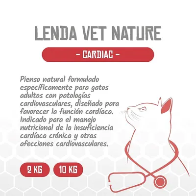 Lenda VET Cat Cardiac Lenda VET Cat Cardiac