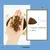 Lenda Adult Cat Grain Free Light & Sterilized Lenda Adult Cat Grain Free Light & Sterilized