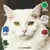 Lenda Adult Cat Grain Free Light & Sterilized Lenda Adult Cat Grain Free Light & Sterilized