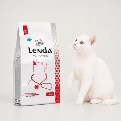 Lenda VET Cat Hepatic Lenda VET Cat Hepatic