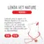 Lenda VET Cat Hepatic Lenda VET Cat Hepatic