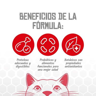 Lenda VET Cat Hepatic