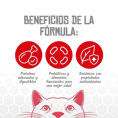 Lenda VET Cat Hepatic Lenda VET Cat Hepatic
