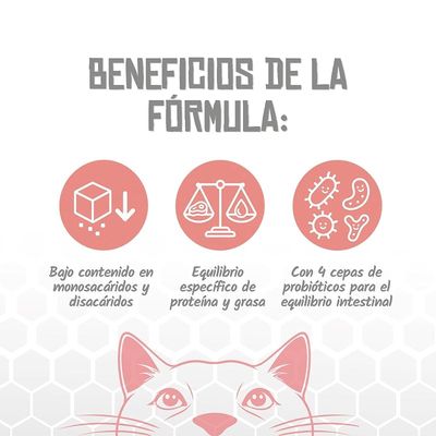 Lenda VET Cat Diabetic
