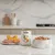 Dibaq Sense Grain Free Pavo y Calabaza Dibaq Sense Grain Free Pavo y Calabaza