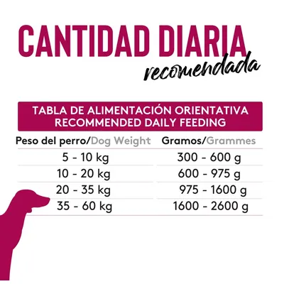 Dibaq Sense Grain Free Pulpo a la Gallega