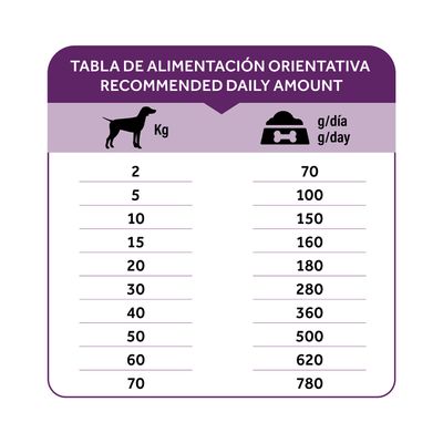 Dibaq Natural Moments 5 Star Mobility