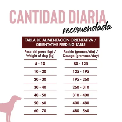 Dican Up Bajo en Calorías o Senior Dican Up Bajo en Calorías o Senior