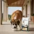 Dibaq Natural Moments 5 Star Pavo y Pollo Adulto razas grandes