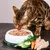 Lucky-Kitty Katzenfutter Lucky-Kitty Katzenfutter