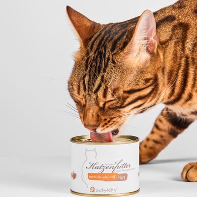 Lucky-Kitty Katzenfutter