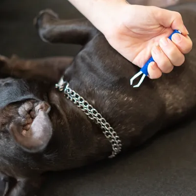 FinoPet Zeckenzange für Hunde und Katzen, Professioneller Zeckenentferner u FinoPet Zeckenzange für Hunde und Katzen, Professioneller Zeckenentferner u