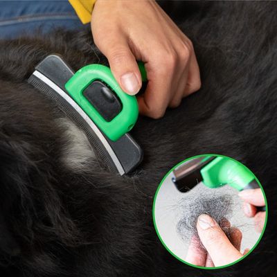 Hundebürste Grosse Hunde - Unterfellbürste für Kurzhaar Langhaar Unterwolle