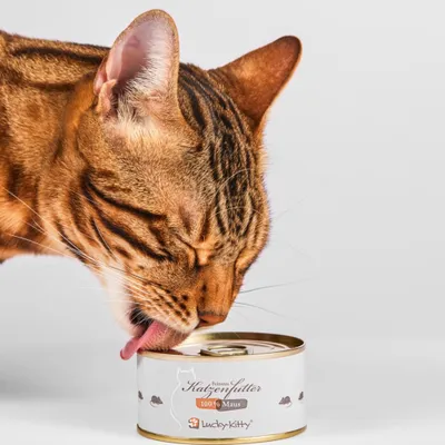 Lucky-Kitty Katzenfutter
