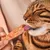 Lucky-Kitty Filet-Sticks Lucky-Kitty Filet-Sticks