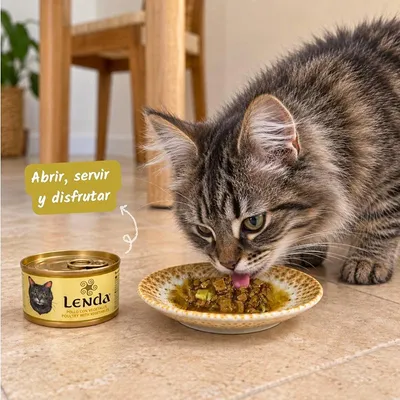 Lenda Delicat Bocaditos en Salsa de Pollo con Verduras para Gatos Lenda Delicat Bocaditos en Salsa de Pollo con Verduras para Gatos