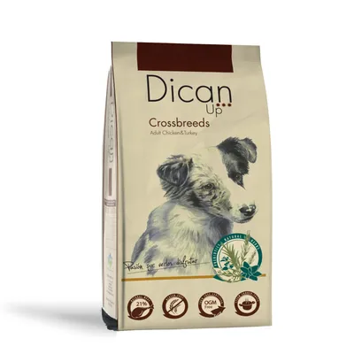 Dican Up Crossbreeds Adulto