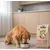Dibaq Sense Low Grain Adulto Salmón y Atún 12Kg