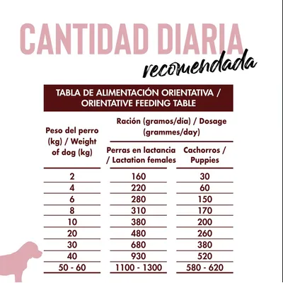 Dican Up Cachorro Dican Up Cachorro