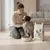 Dican Up Crossbreeds Adulto 14Kg