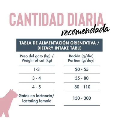 Dicat Up Adulto Pescado y Arroz
