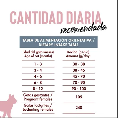 Dicat Up Kitty Pollo y Arroz Dicat Up Kitty Pollo y Arroz