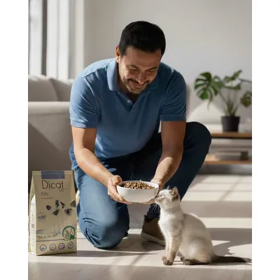 Dicat Up Kitty Pollo y Arroz Dicat Up Kitty Pollo y Arroz