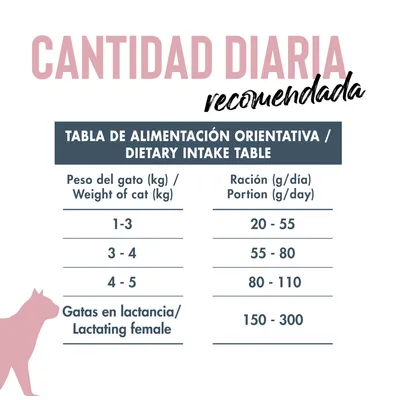 Dicat Up Adulto Pollo y Arroz Dicat Up Adulto Pollo y Arroz