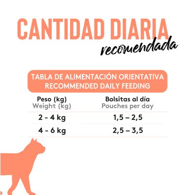 Dibaq Sense Bocaditos en salsa Pollo con Salmón pack 12 uds x 100gr