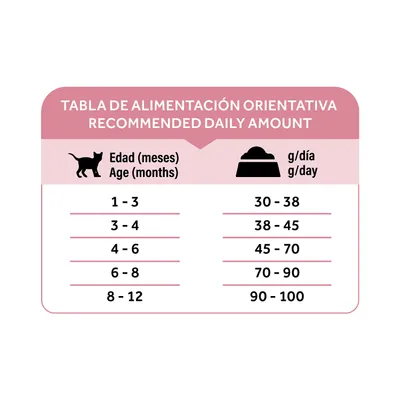Dibaq Natural Moments 5 Star Gatito